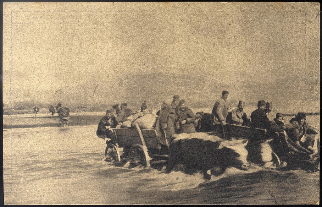 11.Prelazak srpske vojske preko reke Mace u Albaniji s posl.volovskim kolima